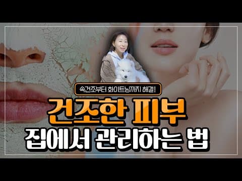 건조한 피부를 개선할 수 있는 가장 좋은 방법